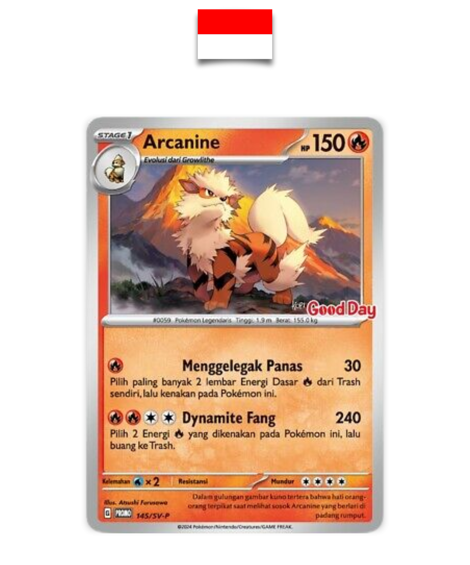 Carte Pokémon – Arcanin Good Day 145/SV-P – Indonésien - Quest Corner