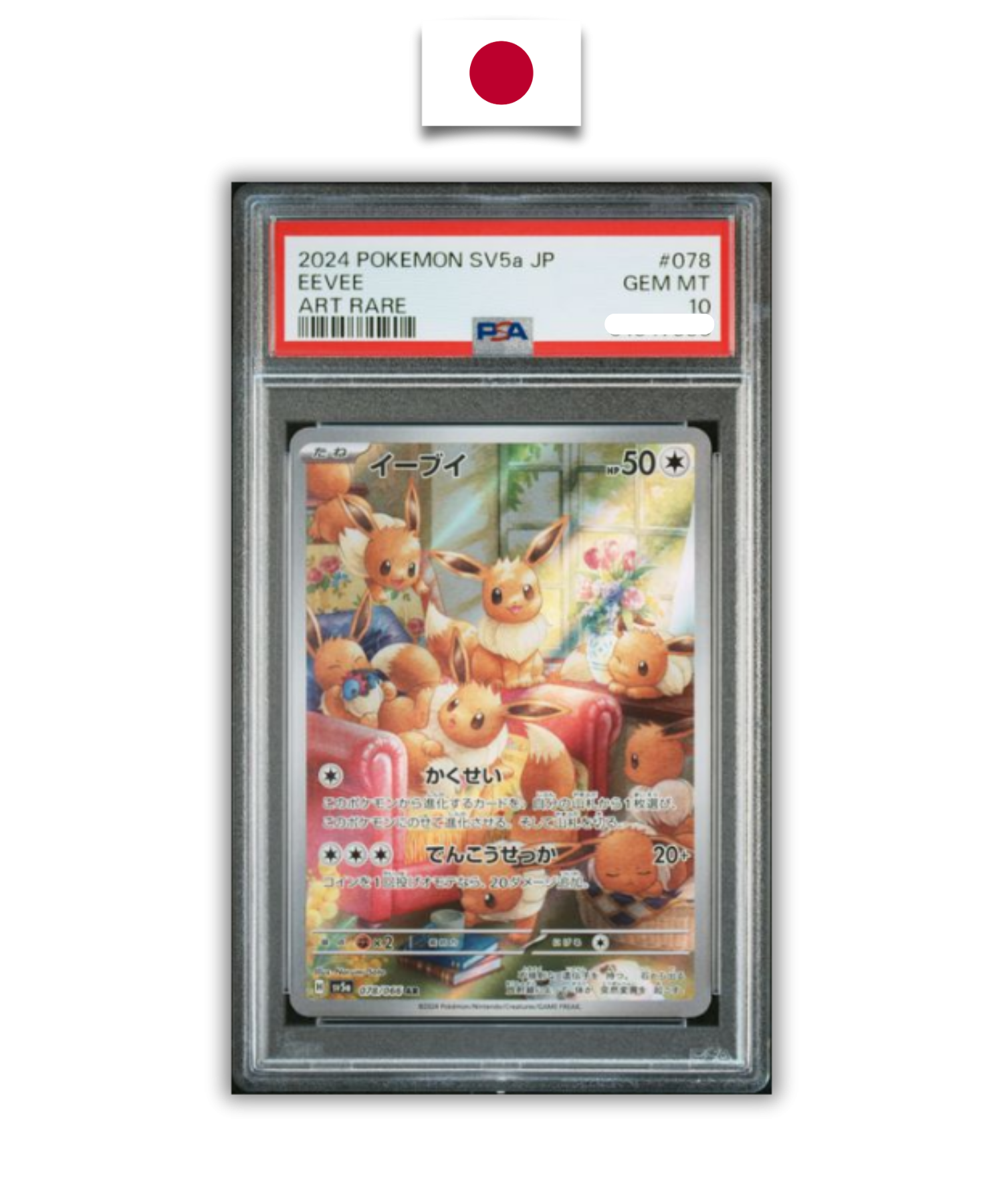 Carte Gradée Pokémon – Évoli 078/066 – PSA 10 – Japonais - Quest Corner