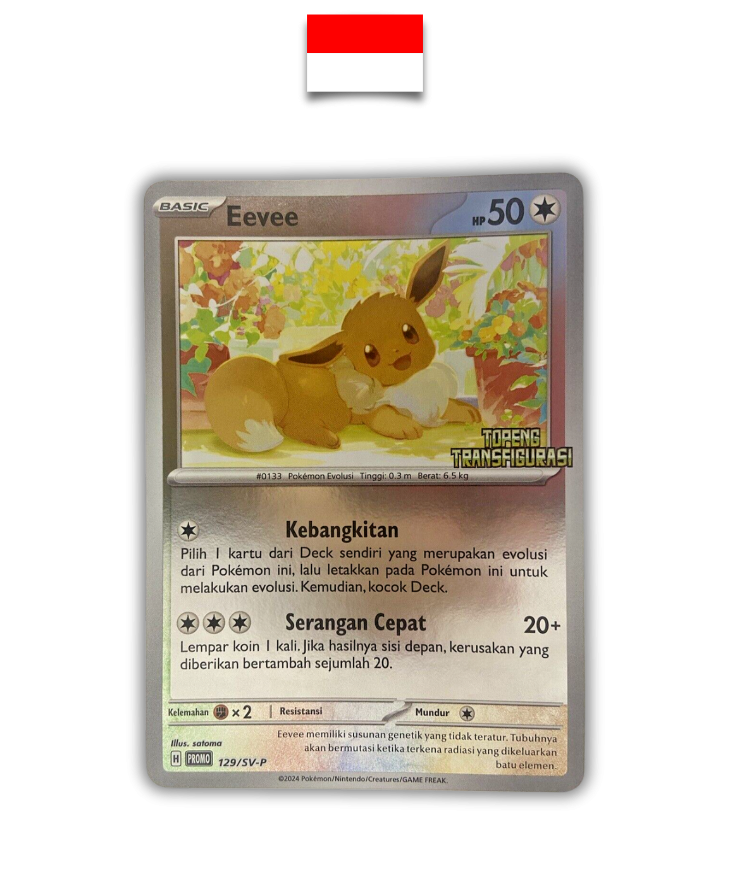 Carte Pokémon – Evoli Topeng 129/SV-P – Indonésien - Quest Corner