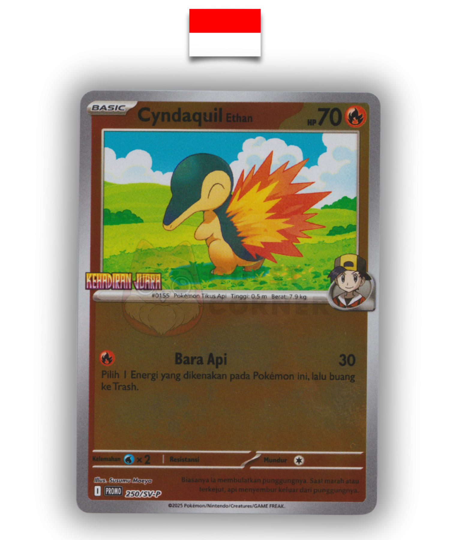 Carte Pokémon – Héricendre 250/SV-P Promo Kehadiran Juara – Indonésien - Quest Corner