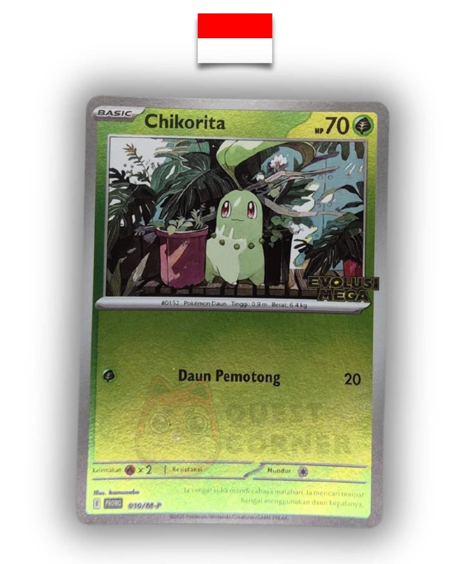 Set Pokémon – Special Set Evolusi Mega – Germignon Promo – Indonésien - Quest Corner
